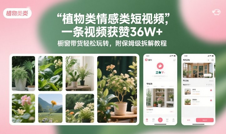 植物类情感类短视频，一条视频获赞36W+，橱窗带货轻松玩转，附保姆级拆解教程-领学通