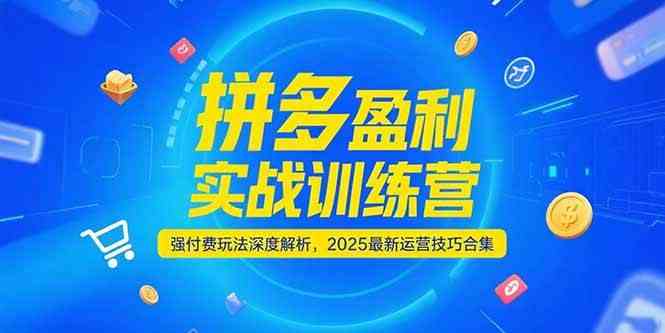 拼多多盈利实战训练营，强付费玩法深度解析，2025最新运营技巧合集-领学通