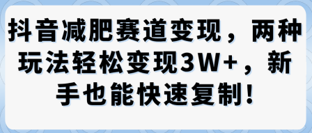 抖音减肥赛道变现，两种玩法轻松变现3W+，新手也能快速复制-领学通