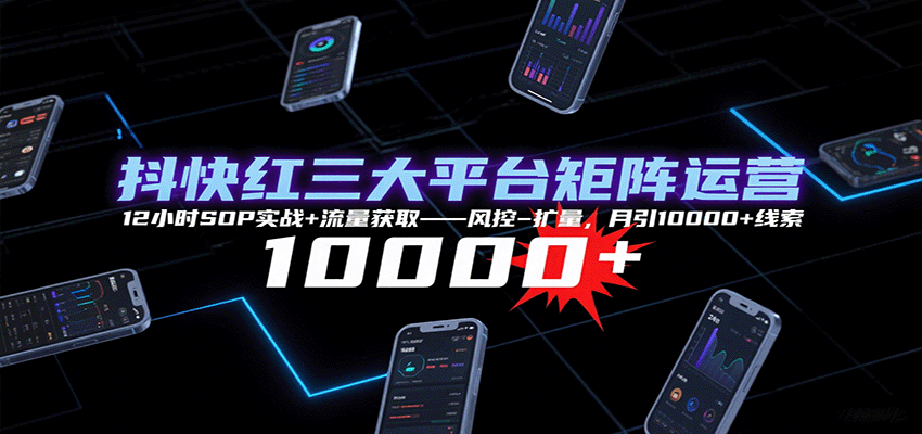 抖快红三大平台矩阵运营，12小时SOP实战+流量获取-风控-扩量，月引10000+线索-领学通