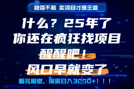 什么？25年你还在疯狂找项目做，醒醒吧，看完这些你全都懂了！【揭秘】-领学通