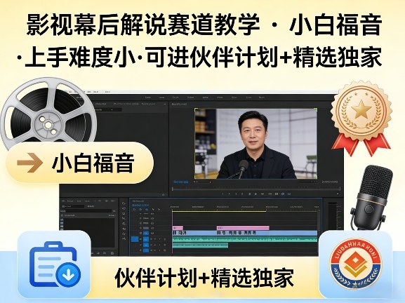 某大佬的影视幕后解说赛道教学，小白福音，上手难度小，可进伙伴计划+精选独家-领学通