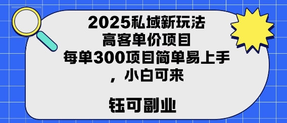 2025私域新玩法高客单价，每单3张操作简单，小白可轻松上手-领学通