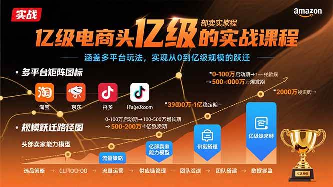 （15803期）亿级电商头部卖家的实战课程：涵盖多平台玩法，实现从0到亿级规模的跃迁-领学通