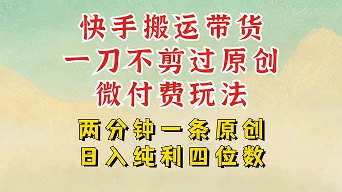 （15577期）快手黑科技搬运带货，一刀不剪过原创，微付费投流玩法，轻松日入四位数…-领学通