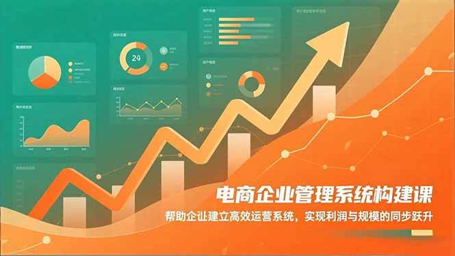 (16643期)电商企业管理系统构建课:帮助企业建立高效运营系统,实现利润与规模的同步跃升-领学通