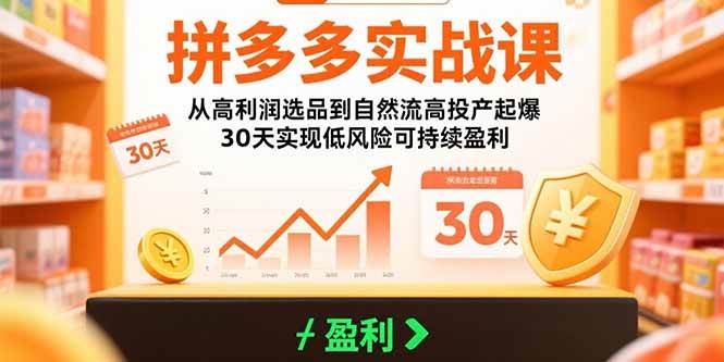（15586期）拼多多实战课：从高利润选品到自然流高投产起爆 30天实现低风险可持续盈利-领学通