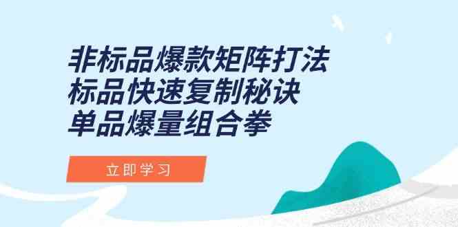 非标品爆款矩阵打法，标品快速复制秘诀，单品爆量组合拳-领学通