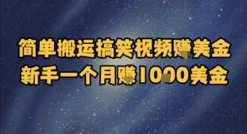 简单搬运搞笑视频挣美金，新手一个月入1k美金-领学通