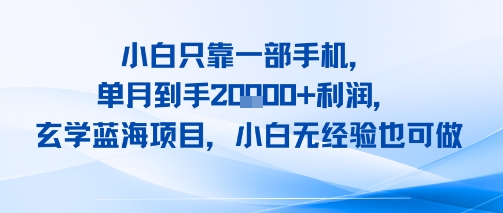 小白只靠一部手机，单月到手2W+利润，玄学蓝海项目，小白无经验也可做-领学通