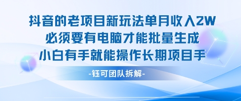 老项目新玩法单月收入2W小白有手就能操作长期项目-领学通