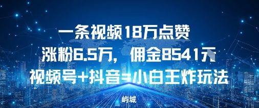 一条视频18W点赞涨粉6.5W,佣金8541视频号+抖音=小白王炸玩法-领学通