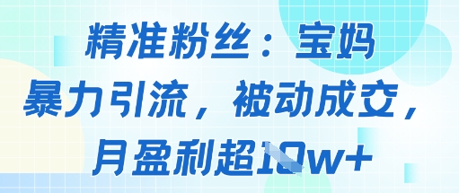 精准粉丝：宝妈暴力引流方法，被动成交，月盈利超1w+-领学通