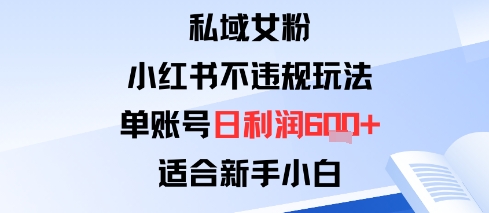 私域女粉:小红书平台不违规玩法单账号日利润6张+适合新手小白-领学通