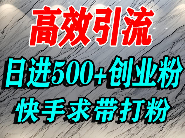 怎么打创业粉?快手求带视角精准引流创业粉,宝妈、学生群体日进500+精准流量-领学通