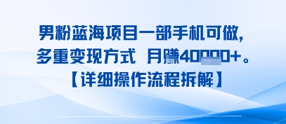 8月新男粉蓝海项目一部手机可做，多重变现方式 月入4W+【详细操作流程拆解】-领学通