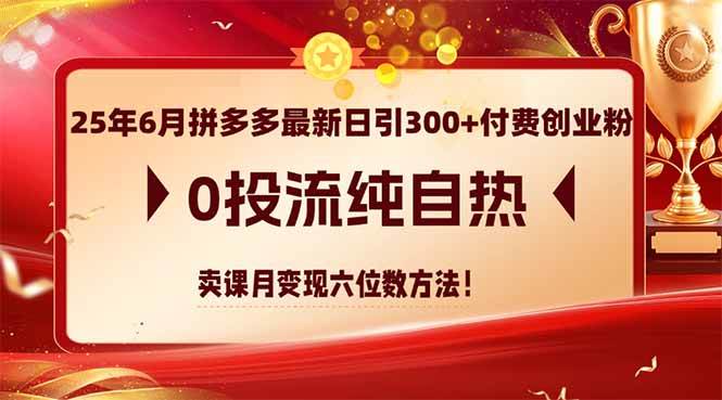 （14989期）25年6月拼多多最新日引300+付费创业粉，0投流纯自热 卖课月变现六位数方法-领学通