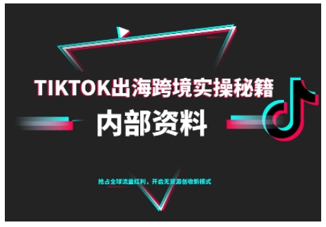TikTok跨境电商0-1搭建运营,TK出海跨境实操秘籍(10月更新)-领学通