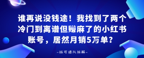 谁再说没钱途！我找到了两个冷门到离谱但賺麻了的小红书账号，居然月销5W单？-领学通