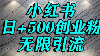 小红书无限引流创业粉，单人操作日引500+精准创业粉-领学通