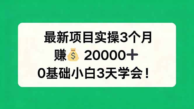 （17856期）最新项目实操3个月，赚钱20000+，0基础小白3天学会！-领学通