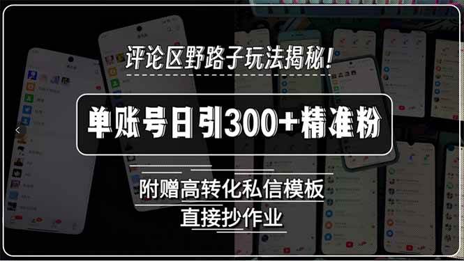 （15466期）评论区野路子玩法揭秘！单账号日引300+精准粉，附赠高转化私信模板，直…-领学通