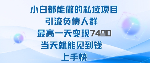 2025年小白都能做的私域项目引流负债人群最高一天变现1k+高变现难度低当天就能见到钱上手快-领学通
