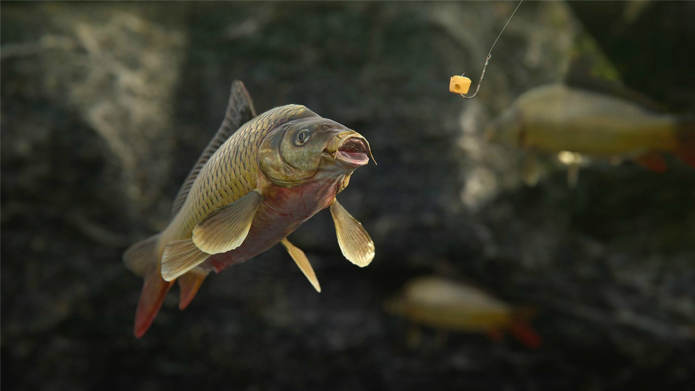 《人渣》v1.1.0.2.99989中文版-领学通