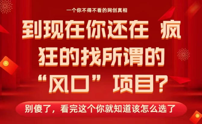 马上26年了，你还在找所谓的风口项目？别傻了，看完这个你全都懂了！【揭秘】-领学通
