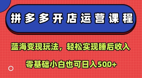 拼多多开店运营课程：蓝海变现玩法，轻松实现睡后收入，零基础小白也可日入5张-领学通