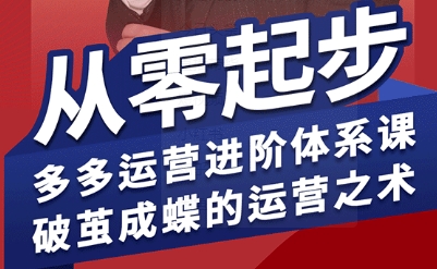 拼多多运营进阶系统课，从零起步，多多运营进阶体系课，破茧成蝶的运营之术-领学通