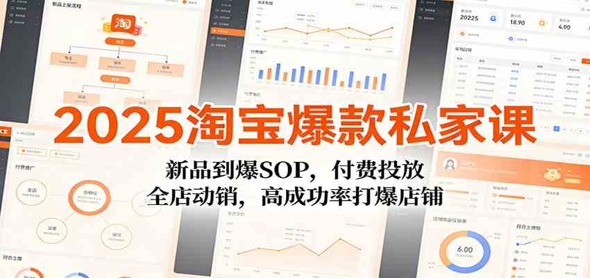 2025淘宝爆款私家课:新品到爆SOP,付费投放,全店动销,高成功率打爆店铺-领学通