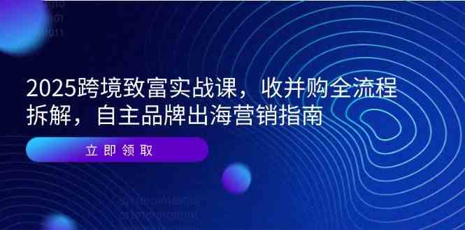 2025跨境致富实战课，收并购全流程拆解，自主品牌出海营销指南-领学通