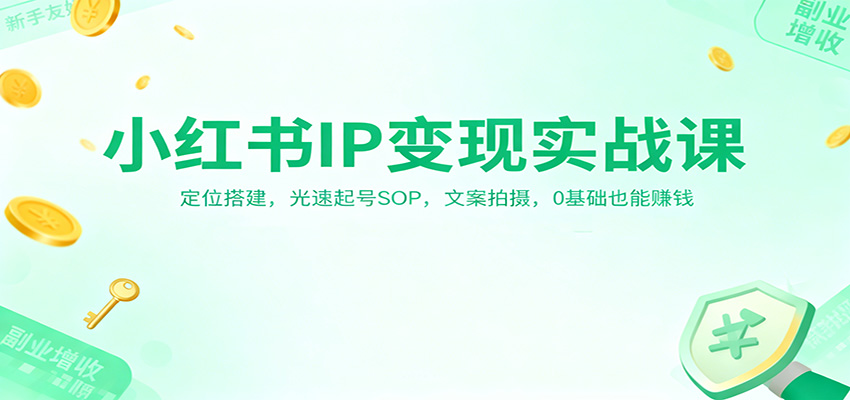 小红书IP变现实战课:定位搭建,光速起号SOP,文案拍摄,0基础也能赚钱-领学通
