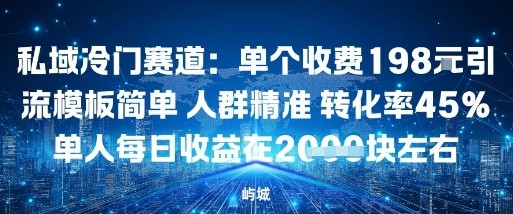 私域冷门赛道：单个收费198米引流模板简单人群精准转化率45%单人每日收益在1k+-领学通