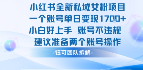 小红书全新私域女粉项目 单日变现1k+ 小白好上手账号不违规-领学通