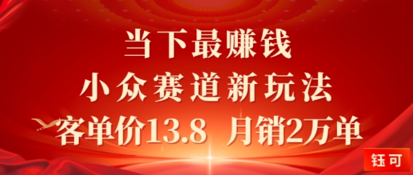 当下最挣钱的小众赛道 小红书新玩法10个作品涨粉3W，客单价13.8 月销2W单-领学通