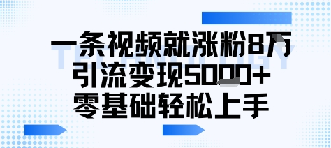 一条视频就涨粉8W引流变现5k+，0基础项目轻松上手-领学通