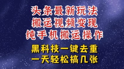 今日头条纯搬运玩法，轻松过原创不违规，轻松日入三位数，稳的很-领学通