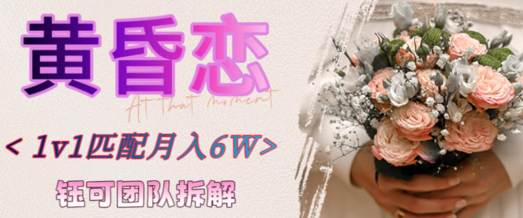 副业拆解:黄昏恋1对1匹配月入6个,潜力巨大-领学通