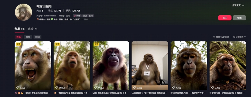 最新爆火的峨眉山猴子短视频制作教程,条条点赞10w+,谁做谁火【教程+提示词】