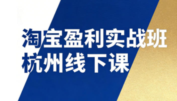 淘宝盈利实战班杭州线下课12月26-28日（音频+字幕），帮你掌握SOP流程+12门核心技术-领学通