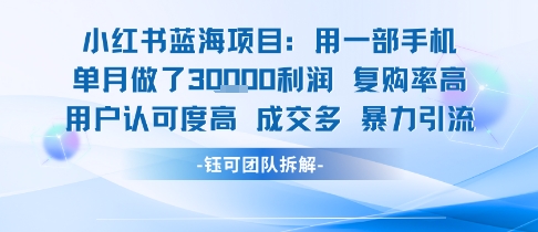 小红书蓝海项目，一部手机单月做了3W利润，小白也能月入过1W用户认可度高成交多-领学通
