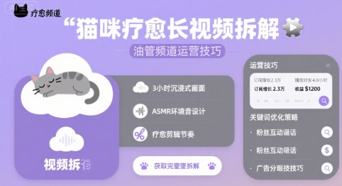 猫咪疗愈长视频拆解 &油管频道运营技巧-领学通