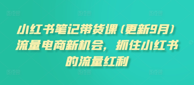小红书笔记带货课(更新25年6月)流量电商新机会，抓住小红书的流量红利-领学通