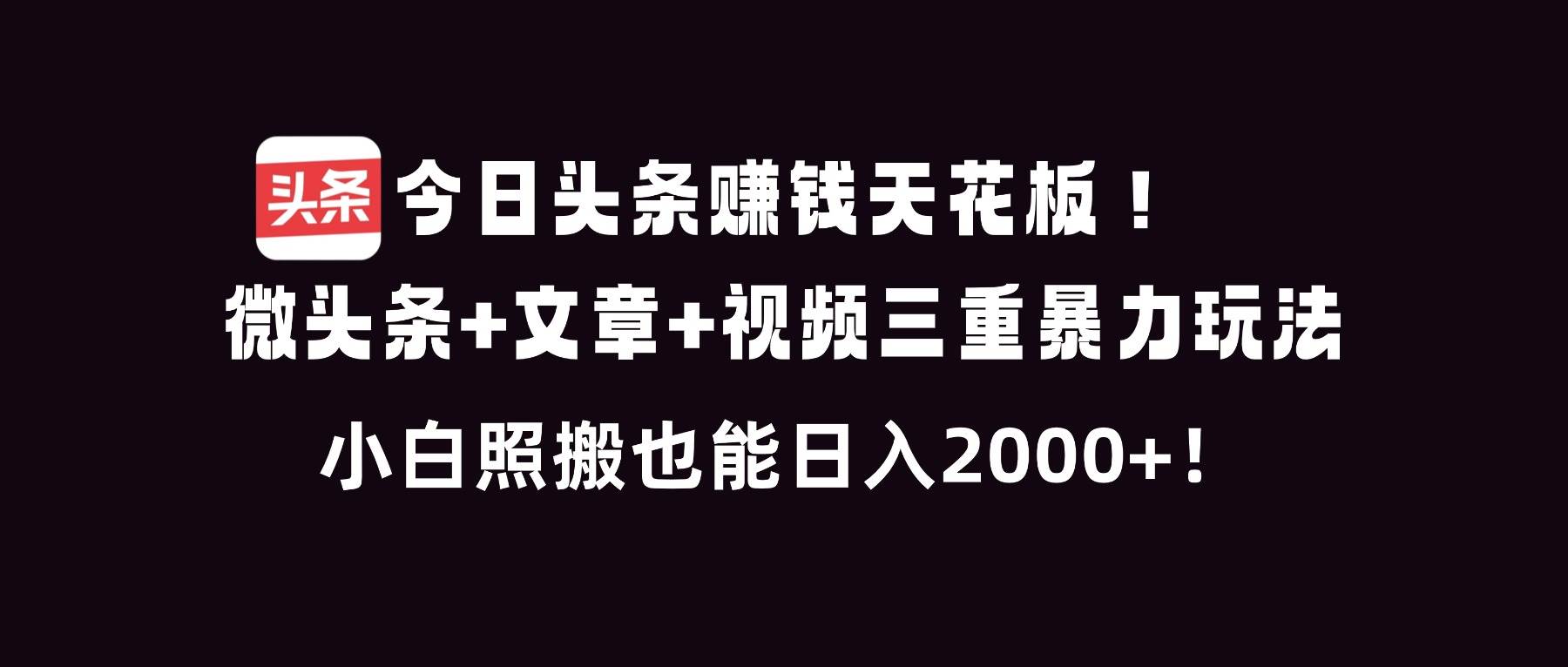 （16888期）今日头条赚钱天花板！微头条+文章+视频三重暴利玩法，小白照搬也能日人2000+-领学通