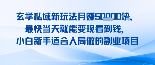 玄学私域新玩法月入1W+，最快当天就能变现看到米，小白新手适合入局做的副业项目-领学通