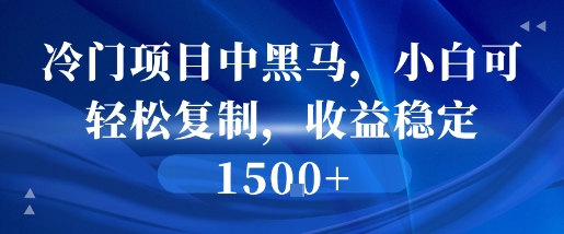 冷门项目中黑马，小白可轻松复制，收益稳定1.5k-领学通
