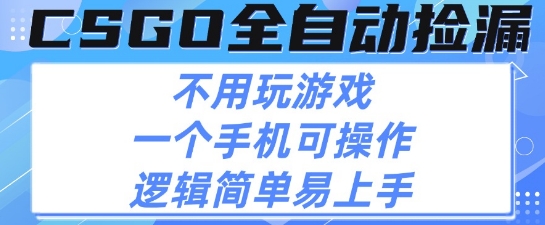 CSGO自动捡漏项目，最新独家玩法，不用挂G不用玩游戏，一个手机即可操作，新手小白轻松月入1W+【揭秘】-领学通