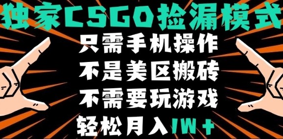 CSGO自动捡漏项目，最新独家玩法，不是美区搬砖，不需要了解和玩游戏，新手小白轻松月入1W+【揭秘】-领学通